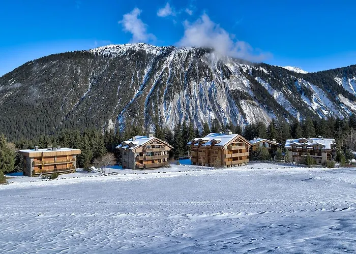 Luxurious Ski-in Ski-out Duplex On Slope