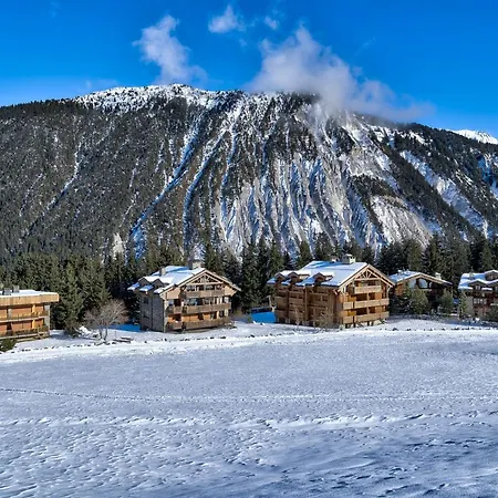 Luxurious Ski-in Ski-out Duplex On Slope