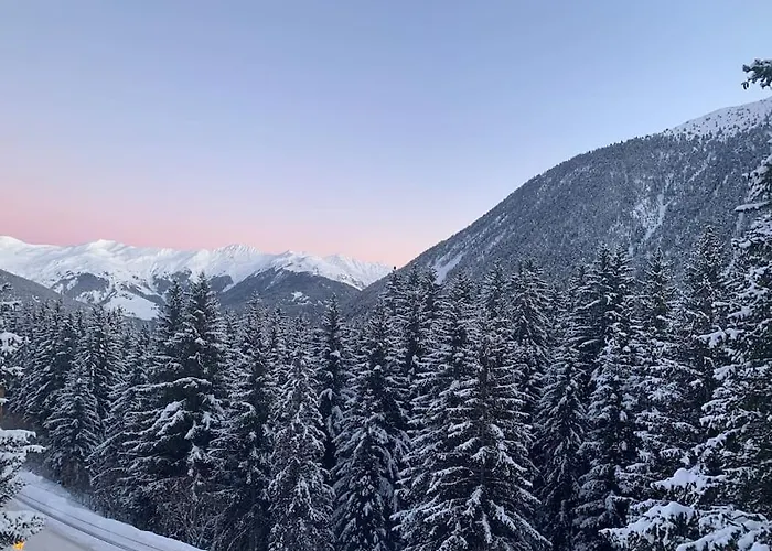 Luxurious Ski-in Ski-out Duplex On Slope Daire